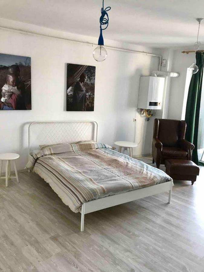 Beautiful Studio Near The Center Of Cluj Bagian luar foto